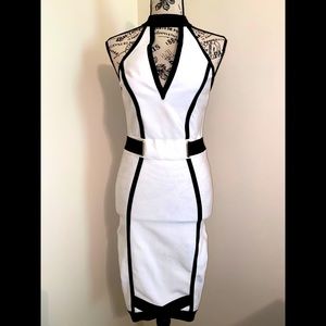 Sexy Bodycon Dress with Net Back